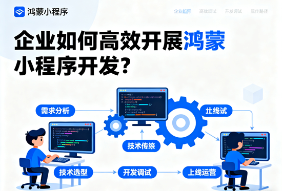 展示企业高效开展开发的步骤